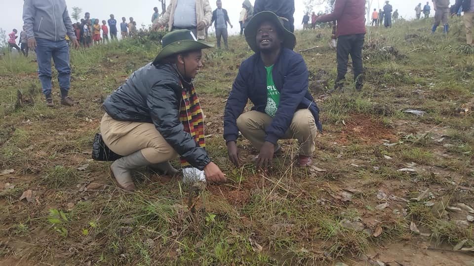 የፋይናንስ ቢሮ ሠራተኞችና ማኔጅመንት አባላት የአረንጓዴ አሻራ ችግኝ ተከላ መርሐግብር አካሄዱ