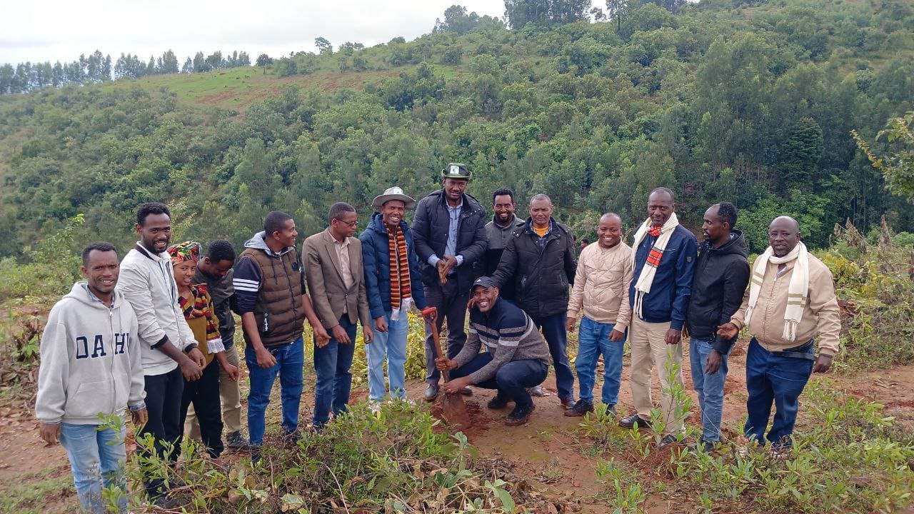 የፋይናንስ ቢሮ ሠራተኞችና ማኔጅመንት አባላት የአረንጓዴ አሻራ ችግኝ ተከላ መርሐግብር አካሄዱ